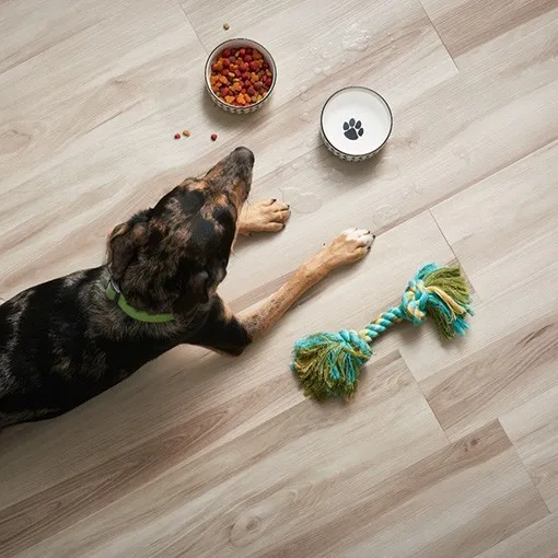 Pet perfect laminate | William Ryan Flooring & Supplies